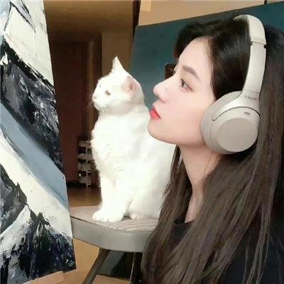 我的丫鬟是总监
